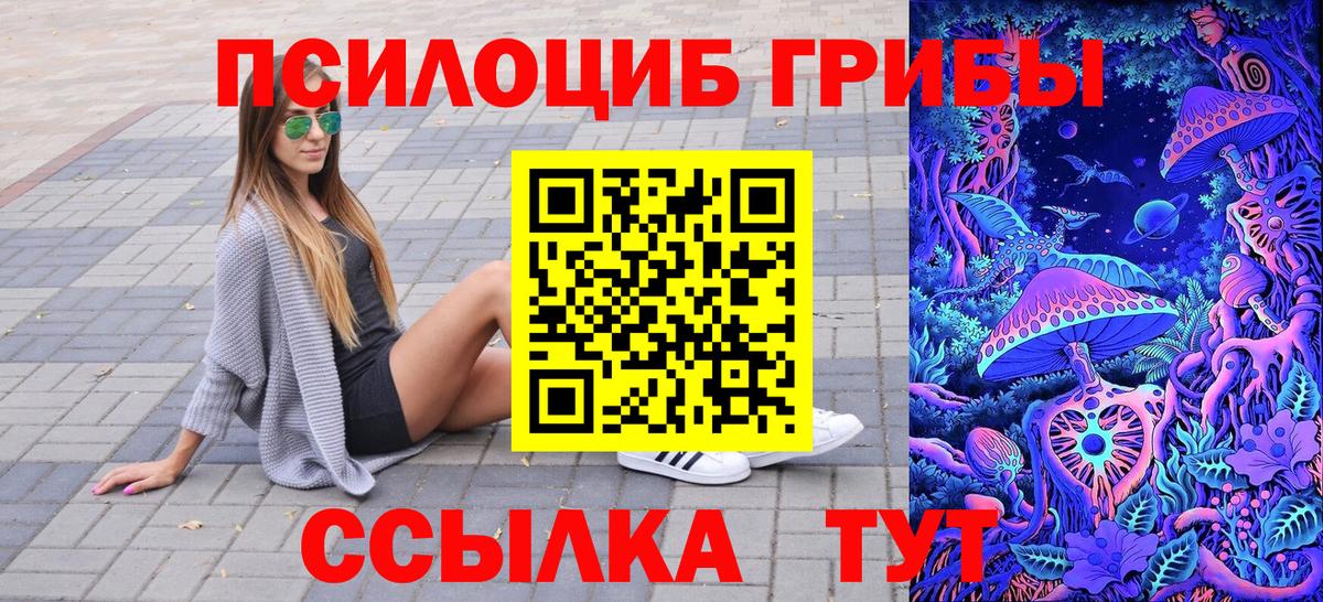 Псилоцибиновые грибы Psilocybe  Псилоцибиновые грибы Psilocybe  Вход с VPN  Южноуральск 