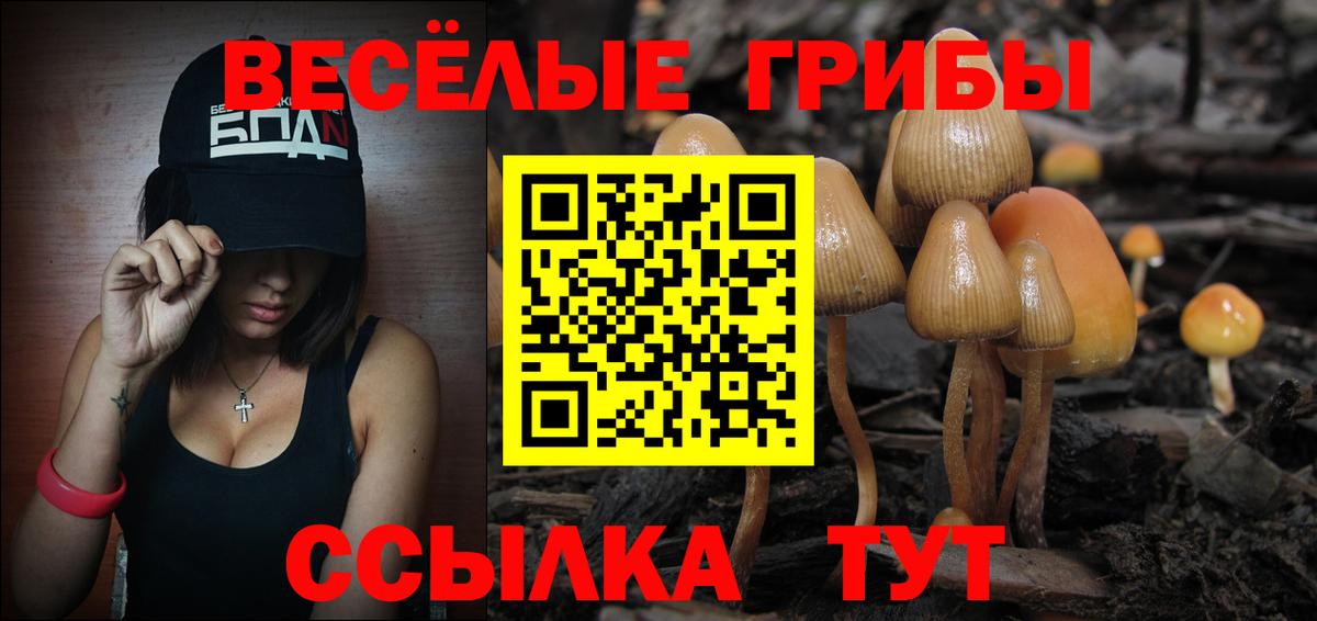 Псилоцибиновые грибы Psilocybe Южноуральск